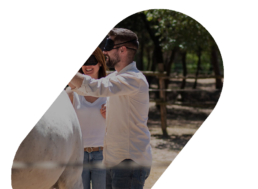 Coaching con caballos para equipos directivos